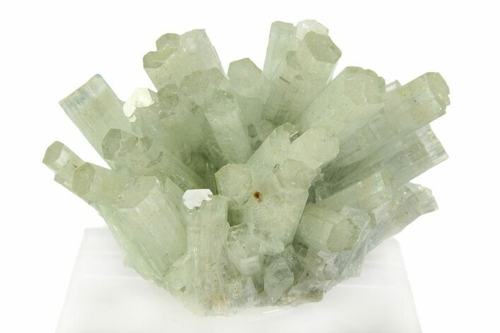 Pristine Goshenite Crystal Cluster - Erongo Mountains, Namibia #351516